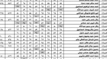 مبروووك.. كيفية الاستعلام عن نتائج الثالث متوسط 2024 دور اول في العراق عبر الموقع الإلكتروني الخاص بوزارة التربية العراقية