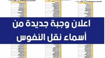 الآن.. اطلع على كشف أسماء نقل النفوس الوجبة الجديدة