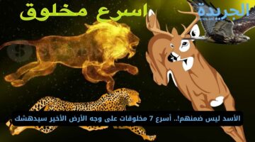 الأسد ليس ضمنهم!.. أسرع مخلوقات على وجه الأرض الأخير سيدهشك