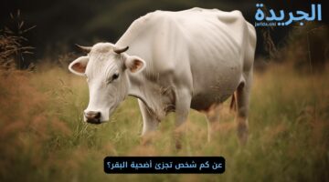 عن كم شخص تجزئ أضحية البقر؟