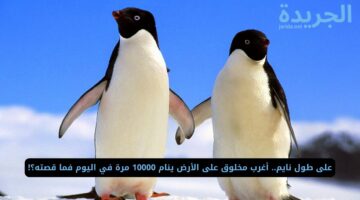 على طول نايم.. أغرب مخلوق على الأرض ينام 10000 مرة في اليوم فما قصته؟!