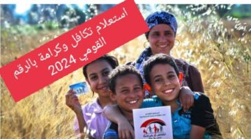 كيفية الاستعلام عن تكافل وكرامة بالرقم القومي 2024