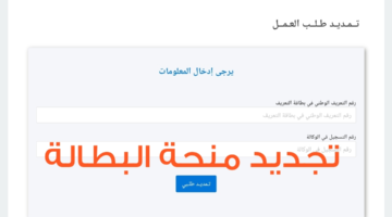 ما هو رابط تجديد منحة البطالة بالجزائر وأهم الشروط المطلوبة