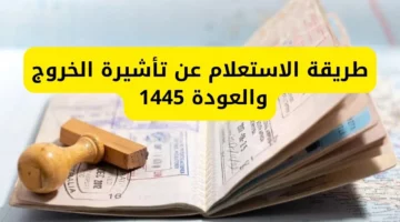 خطوات الاستعلام عن تأشيرة الخروج والعودة 1445 من خلال منصة ابشر