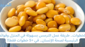 بالخطوات.. طريقة عمل الترمس بسهولة في المنزل وفوائده الرئيسية لصحة الإنسان.. في +5 خطوات فقط!!