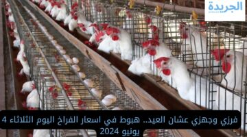 فرزي وجهزي عشان العيد.. هبوط في اسعار الفراخ اليوم الثلاثاء 4 يونيو 2024