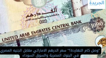 “وصل كام النهاردة؟” سعر الدرهم الاماراتي مقابل الجنيه المصري في البنوك المصرية والسوق السوداء