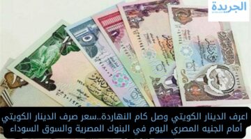 اعرف وصل كام النهاردة.. سعر صرف الدينار الكويتي أمام الجنيه المصري اليوم في البنوك المصرية والسوق السوداء