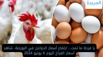 يا فرحة ما تمت.. ارتفاع أسعار الدواجن في البورصة شاهد أسعار الفراخ اليوم 6 يونيو 2024