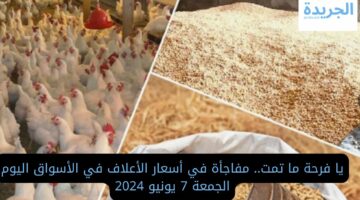 يا فرحة ما تمت.. مفاجأة في أسعار الأعلاف في الأسواق اليوم الجمعة 7 يونيو 2024