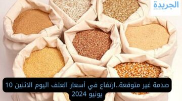 صدمة غير متوقعة.. ارتفاع في أسعار العلف اليوم الاثنين 10 يونيو 2024