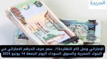 الإماراتي وصل كام النهاردة؟!.. سعر صرف الدرهم الاماراتي في البنوك المصرية والسوق السوداء اليوم الجمعة 14 يونيو 2024