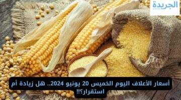 أسعار الأعلاف اليوم الخميس 20 يونيو 2024.. هل زيادة أم استقرار؟!!