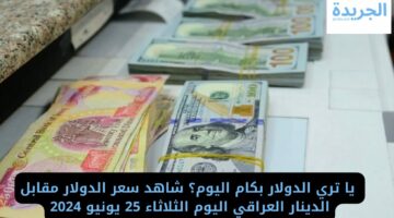 يا تري بكام اليوم؟ شاهد سعر الدولار مقابل الدينار العراقي اليوم الثلاثاء 25 يونيو 2024