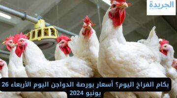 بكام الفراخ اليوم؟ أسعار بورصة الدواجن اليوم الأربعاء 26 يونيو 2024