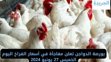 بورصة الدواجن تعلن مفاجأة في أسعار الفراخ اليوم الخميس 27 يونيو 2024