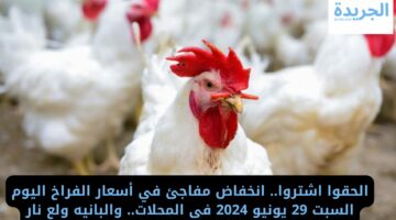 الحقوا اشتروا.. انخفاض مفاجئ في أسعار الفراخ اليوم السبت 29 يونيو 2024 فى المحلات.. والبانيه ولع نار