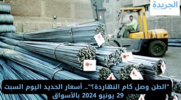 “الطن وصل كام النهاردة؟”.. أسعار الحديد اليوم السبت 29 يونيو 2024 بالأسواق 