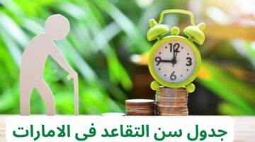 سن التقاعد عن العمل للمواطنين والأجانب في الامارات