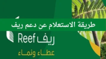 إليكم رابط استعلام دعم ريف برقم الهوية 1445 بالسعودية والفئات المستحقة للدعم وكيفية الحصول عليه