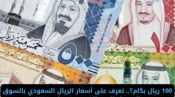 100 ريال بكام؟.. تعرف على أسعار الريال السعودي بالسوق السوداء اليوم الخميس 4 يوليو 2024