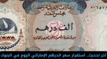 آخر تحديث.. استقرار سعر الدرهم الإماراتي اليوم في البنوك المصرية والسوق السوداء.. اعرف وصل كام!!