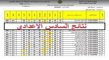 نتائج السادس التمهيدي 2024 بالعراق.. الاستعلام عن النتائج لجميع المحافظات عبر موقع وزارة التربية والتعليم