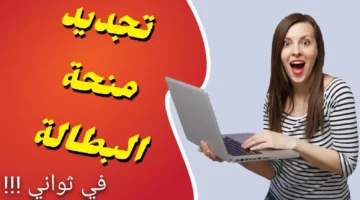 من هنا.. تجديد منحة البطالة 2024 بالجزائر عبر الموقع الإلكتروني للوكالة الوطنية للتشغيل