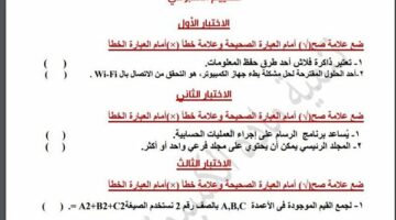 مراجعات نهائية.. أسئلة تقييم الاسبوع الـ 15 في الكمبيوتر لـ الصف الخامس الابتدائي  – الجريدة