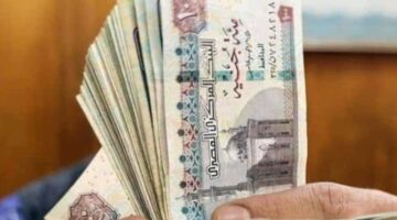 علاوة خاصة 15% لـ الموظفين وزيادة المعاشات 300 جنيه.. قرار حكومي بـ زيادة المرتبات والمعاشات – الجريدة