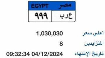 كيفية الحصول على لوحة مميزة لسيارة إلكترونيا.. كون لوحتك الآن – الجريدة