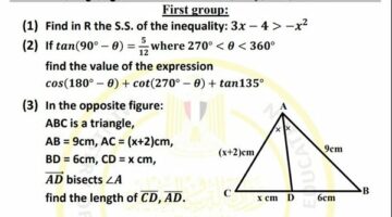 مراجعات نهائية.. أسئلة تقييم الأسبوع الـ 14 الرياضيات Math الصف الأول الثانوي – الجريدة