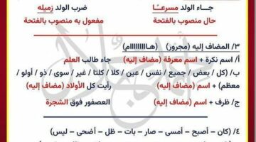 مراجعات نهائية.. مراجعة ليلة امتحان النحو في 14 ورقة لـ الشهادة الاعدادية – الجريدة