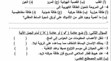 مراجعات نهائية.. 6 نماذج امتحان بالنظام الجديد في العلوم لـ الصف الرابع الابتدائي – الجريدة